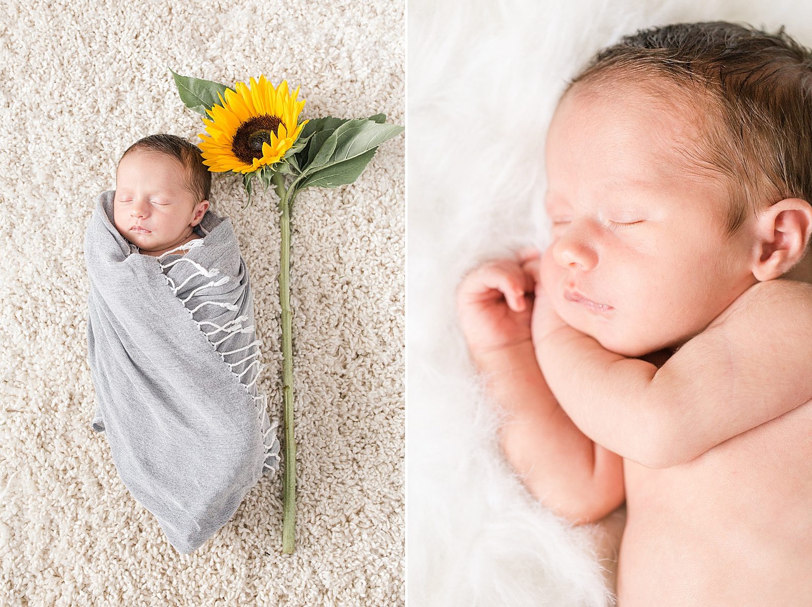 KMP Newborn In Home Session with sunflower