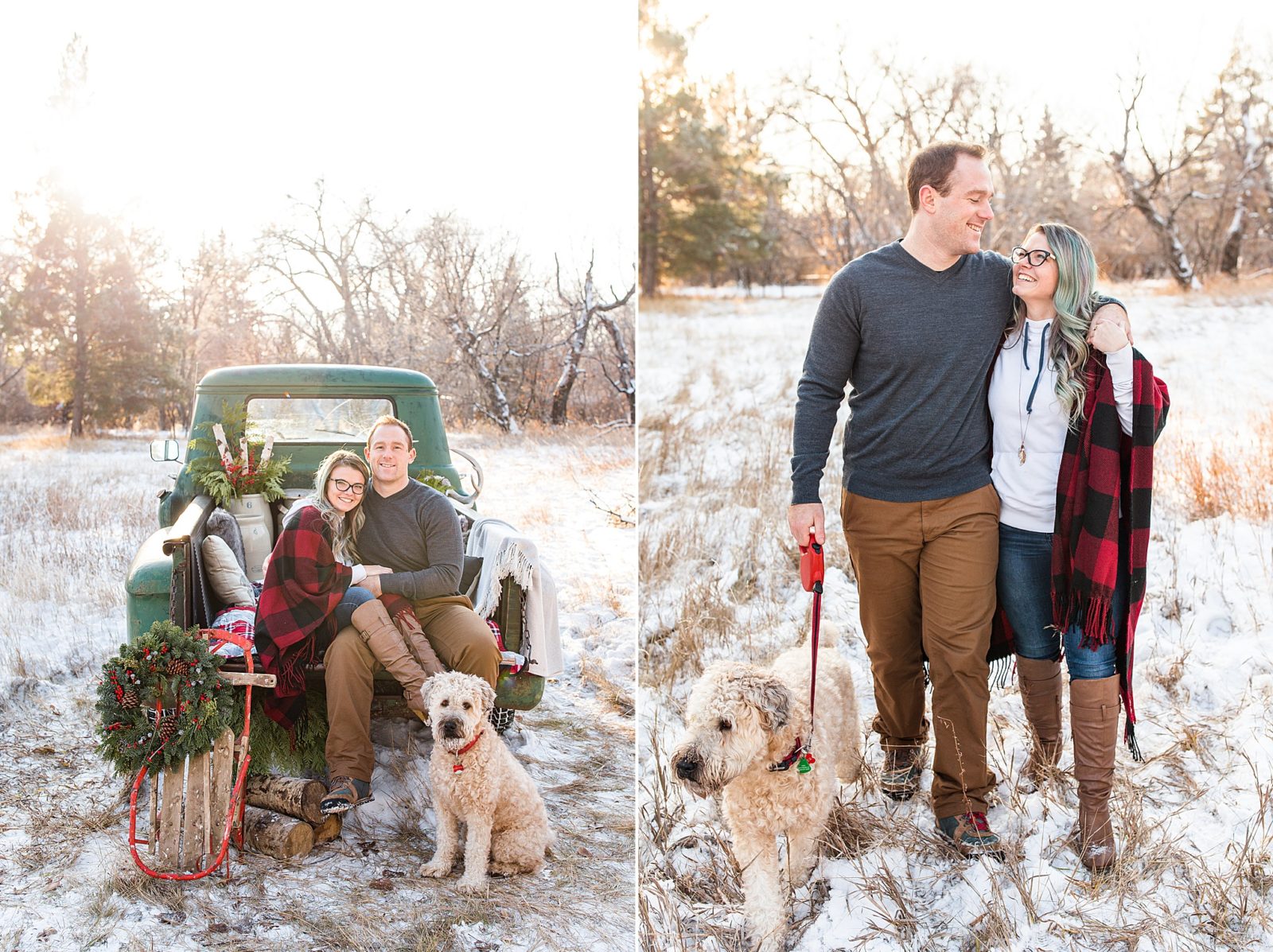 A couple with a golden doodle at their mater minis, an old truck, Christmas mini session in Moose Jaw, Saskatchewan